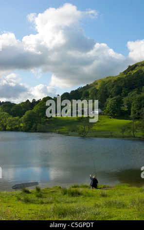 Pêcheur sur la rive du Tarn Loughrigg, Parc National de Lake District, Cumbria, Angleterre, Royaume-Uni Banque D'Images