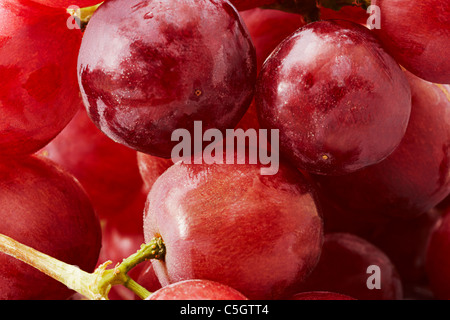 Gros plan d'une grappe de raisin rouge Banque D'Images