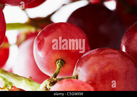 Gros plan d'une grappe de raisin rouge Banque D'Images