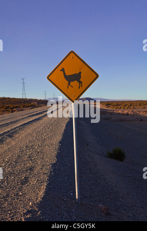 Drôle de panneau d'avertissement road : Lama qui traversent la route, Uyuni highlands, Salar, Sud Lipez, frontière du Chili, Bolivie, Amérique du Sud Banque D'Images