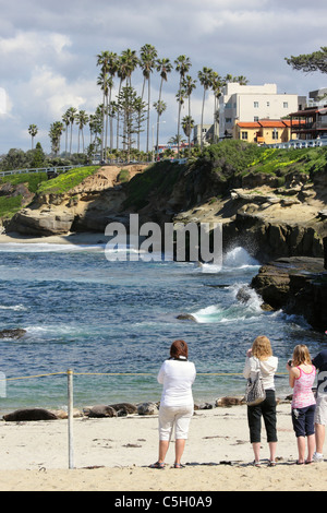 Une famille de photographier les phoques sur la plage de piscine pour enfants, La Jolla, Californie, USA Banque D'Images