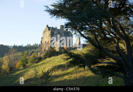 Neidpath Castle par Peebles Banque D'Images