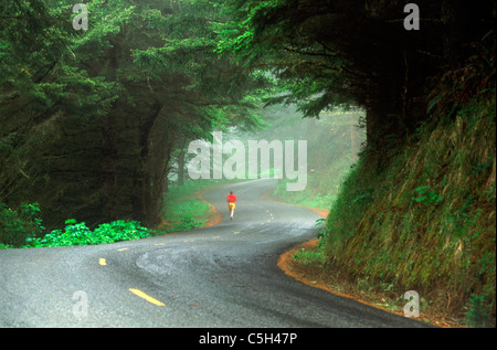 Homme qui court sur route de campagne sinueuse misty sur la côte de la californie centrale Banque D'Images