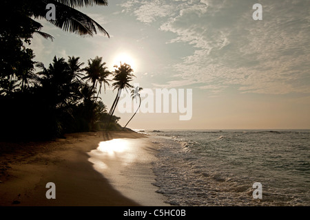 Coucher du soleil sur la plage de club Koggala Village, Matara, LKA, Sri Lanka Banque D'Images