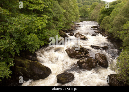 Afon Llugwy, Capel Curig, Snowdonia, le Nord du Pays de Galles, Royaume-Uni Banque D'Images