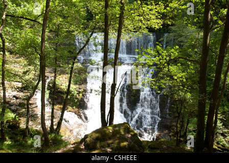 Sgwd Fias Oisans Gwyn, cascade River Mellte, parc national de Brecon Beacons, Pays de Galles, Royaume-Uni Banque D'Images