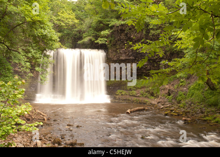 Sgwd-an-eira cascade, Afon Hepste, parc national de Brecon Beacons, Powys, Wales, UK Banque D'Images