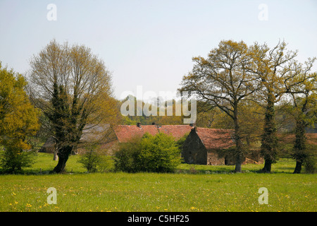 Ancienne ferme dans le bocage (Normandie, France) Banque D'Images