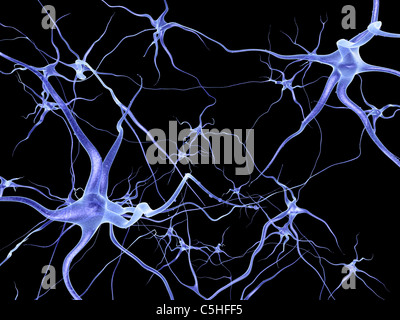 Réseau de neurones, l'oeuvre de l'ordinateur Banque D'Images