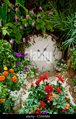 Réveil dans le jardin Banque D'Images