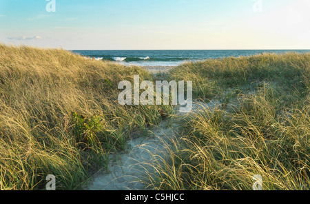 Les dunes de sable et la mer Banque D'Images