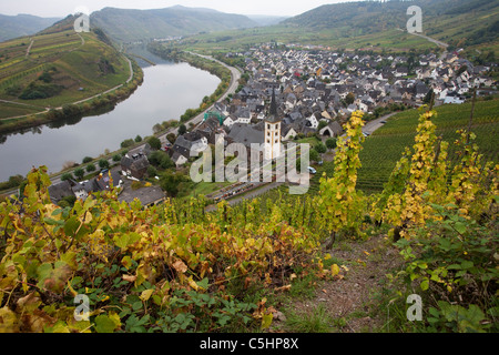 Auf dem Weinreben Calmont, Moselschleife bei Bremm, vignoble au Calmont, près du village de Bremm Banque D'Images