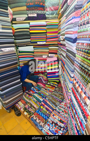 Toile pour une vente au CDM Market, un marché saturé typique dans le vieux quartier de Hanoi Banque D'Images