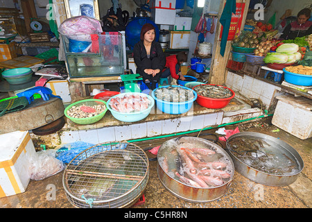 Les poissons vivants à vendre à CDM Market, un marché saturé typique qui vendent de tout, des aliments aux vêtements dans le vieux quartier de Hanoi Banque D'Images