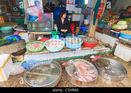 Les poissons vivants à vendre à CDM Market, un marché saturé typique qui vendent de tout, des aliments aux vêtements dans le vieux quartier de Hanoi Banque D'Images