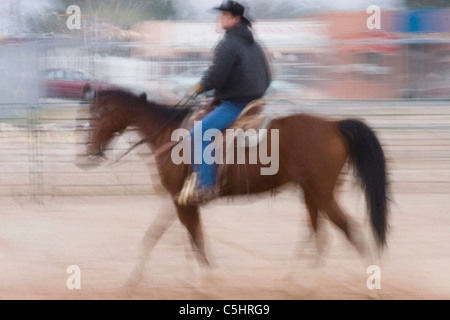 Chevaux de rodéo de préchauffage en préparation de Tucson rodeo à Tucson, Arizona Banque D'Images