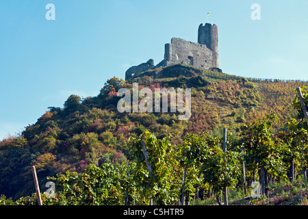 Blick auf die Burg Landshut bei Bernkastel-Kues, Mosel, vue sur le château Landshut, Bernkastel-Kues, Moselle Banque D'Images