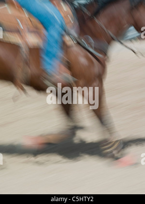 Les concurrents de rodéo se préparer pour le concours de rodéo Tucson de Tucson, Arizona. Banque D'Images