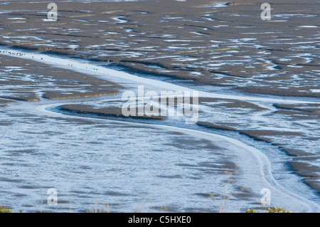 Zone de marée drainé à marée basse à Los Osos, Californie Banque D'Images