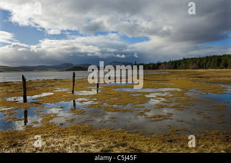 Vestiges d'un vieux le long de l'étape aux limites par l'eau-prés sur les rives du Loch flotte avec les forêts et les collines lointaines sous Banque D'Images