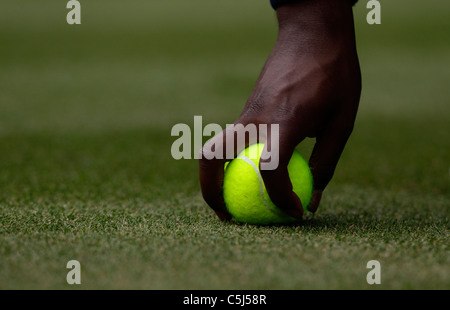 Main d'un ballboy tenant une balle sur le tournoi de Wimbledon Banque D'Images