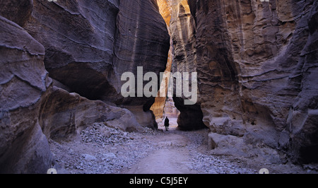 Cheval solitaire-rider suivant le chemin à travers la gorge étroite, la Siq, vers la légendaire cité de Pétra, en Jordanie Banque D'Images