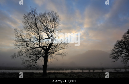 Vue brumeuse d'un lointain hill aussi tard soleil brille à travers les arbres se découpant sur un après-midi d'hiver près de Killin, Perthshire, Banque D'Images