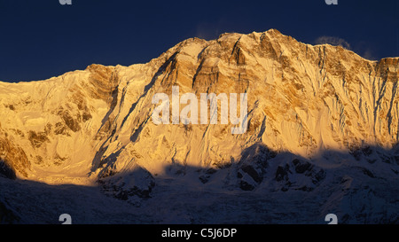 La première lumière sur la face sud de l'Annapurna I vu de basecamp dans le Annnapurna Sanctuaire, Népal Himalaya. Banque D'Images