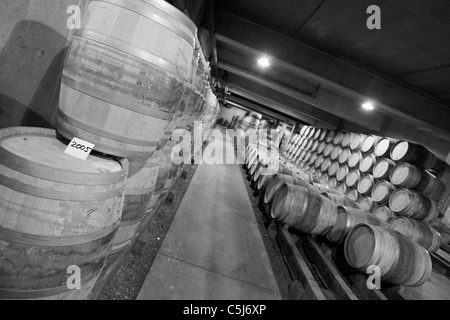 Les caves contenant des barriques de vin en fermentation. Domaine Louis Jadot. Beaune. La France. Banque D'Images