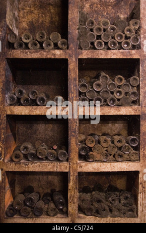 Les caves du Domaine Michel Gros contenant certains de ses plus vieux moule collecte vin et la poussière. Vosne-romanée, Beaune, France. Banque D'Images