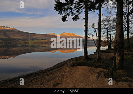 Collines de la gamme Ben Lawers se reflètent dans la lumière du soir dans les eaux calmes et Loch Tay avec arbres à proximité silhouetté Banque D'Images