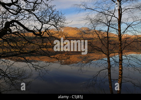 Collines de la gamme Ben Lawers se reflètent dans la lumière du soir dans les eaux calmes et Loch Tay avec arbres à proximité silhouetté Banque D'Images