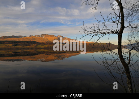 Collines de la gamme Ben Lawers se reflètent dans la lumière du soir dans les eaux calmes et Loch Tay avec arbres à proximité silhouetté Banque D'Images