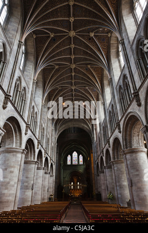 Vue vers le bas la nef de cathédrale de Hereford, Herefordshire Banque D'Images