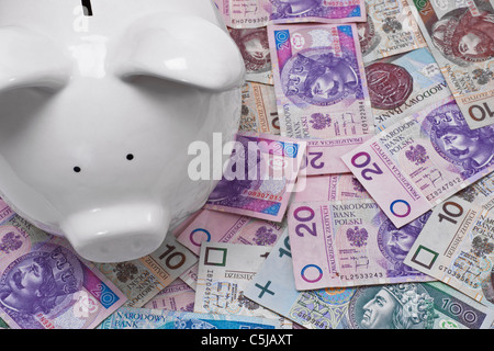 Polnische Zloty | Polish Zloty Banque D'Images