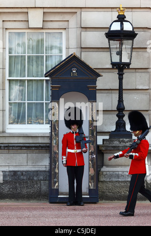 Scots Guards de Royal Queen's Guards à l'extérieur de Buckingham Palace, Londres, Angleterre Banque D'Images