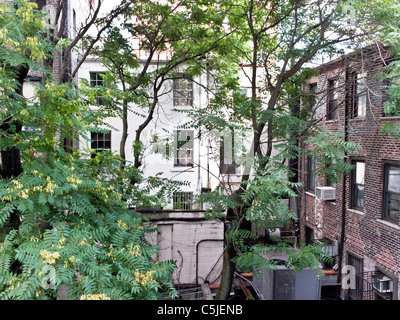 Cour verdoyante derrière les bâtiments en briques anciennes visibles à partir de la section de ligne de haute élévation park a ouvert ses portes en juin 2011 New York City Banque D'Images