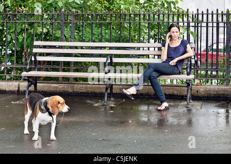 Jeune femme assise sur un banc dans DeWitt Clinton park chien courir en conversation sur son portable tandis que son attente de beagle attention New York Banque D'Images