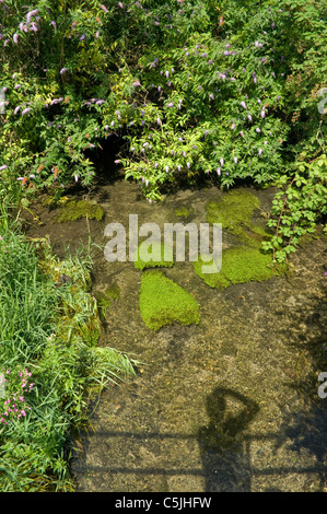 La rivière Wye est un chalkstream Chilterns découlant de West Wycombe de la Tamise à Bourne End Bucks UK Banque D'Images