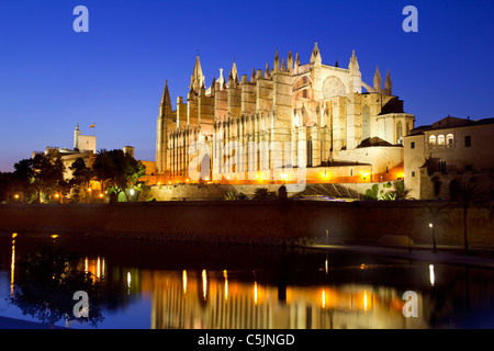 Cathédrale de la Seu Majorque Palma de Majorque dans la réflexion sur le lac à Iles Baléares Banque D'Images