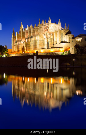 Cathédrale de la Seu Majorque Palma de Majorque dans la réflexion sur le lac à Iles Baléares Banque D'Images