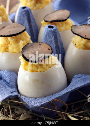 Brouillés œufs de canard truffé dans un carton Banque D'Images