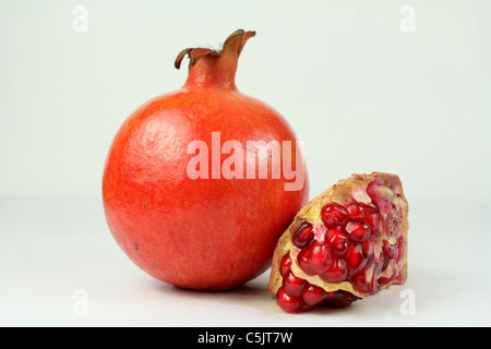 Grenadier (Punica granatum) sur fond blanc Banque D'Images