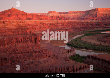 Le fleuve Colorado à partir de la Potash Road, dans le quartier de l'île de Sky, Canyonlands National Park, près de Moab, Utah. Banque D'Images