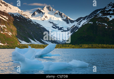 Icebergs dans Portage Lake, Alaska, la Forêt Nationale de Chugach. Banque D'Images