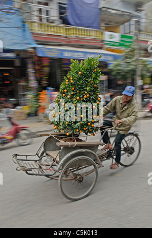 L'Asie, Vietnam, Ninh Binh. Le transport d'un conducteur de cyclo vietnamiens oranger. Banque D'Images