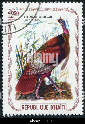 Haïti - 1975 : timbre imprimé en Haïti, représente le dindon sauvage (Meleagris gallopavo) Banque D'Images