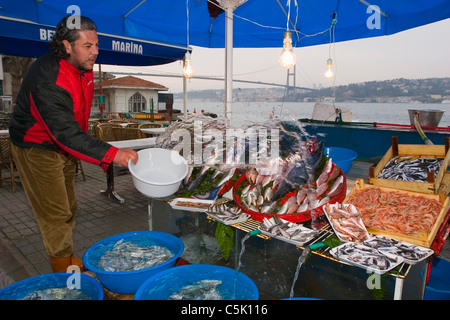 Poissonnier verser de l'eau sur les poissons exposés à Beylerbeyi, Istanbul, Turquie Banque D'Images