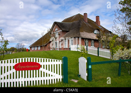 Ferme traditionnelle du nord-frison avec toit de chaume à Eiderstedt Péninsule, Schleswig-Holstein, Allemagne Banque D'Images