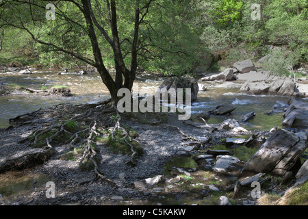 Le lit du fleuve dans la vallée de l'Elan, Mid Wales Banque D'Images